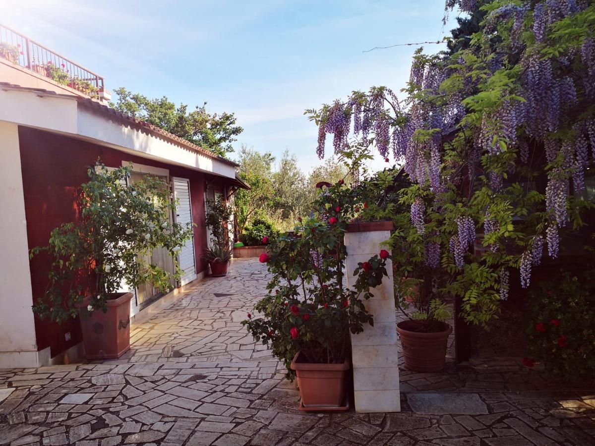 B&B Villa Lena Turi Exteriör bild