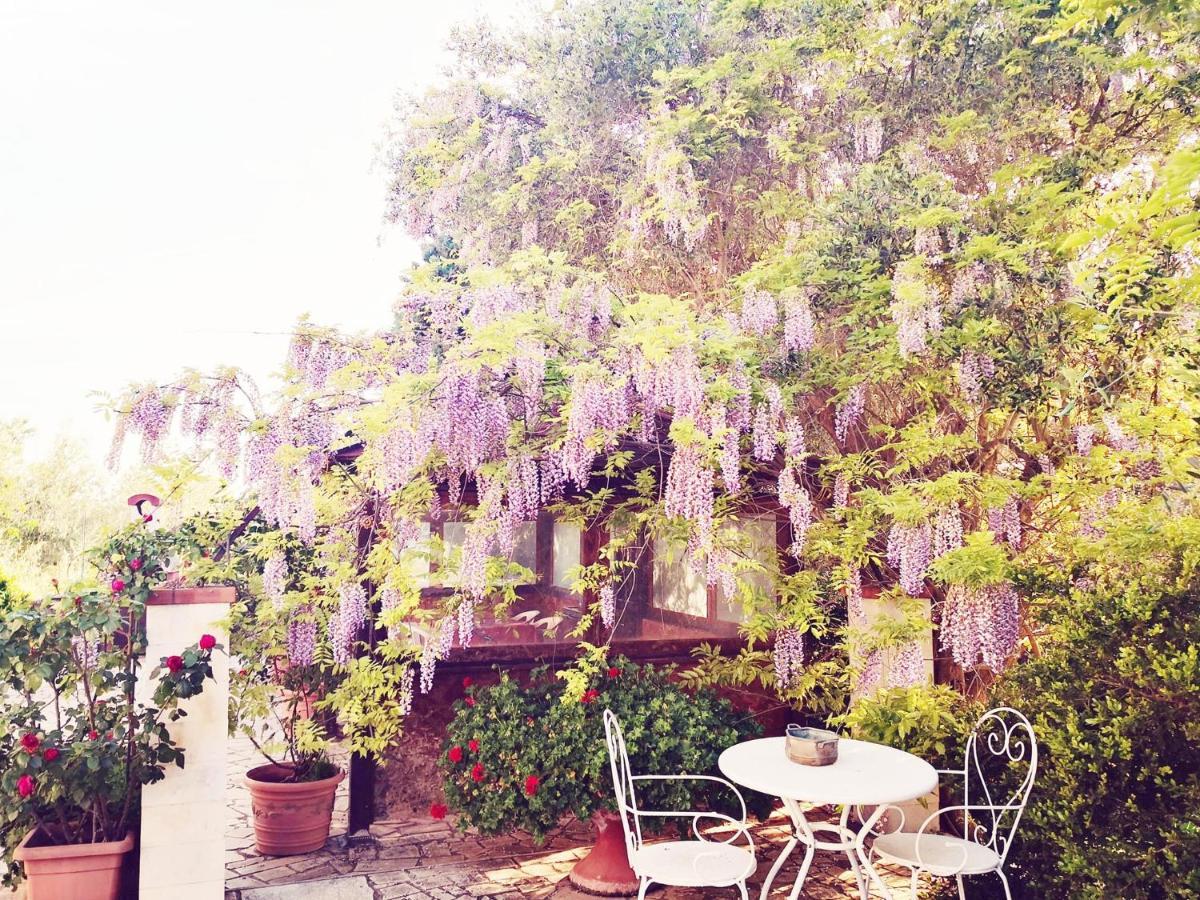 B&B Villa Lena Turi Exteriör bild