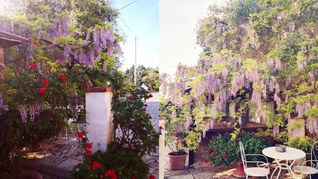B&B Villa Lena Turi Exteriör bild
