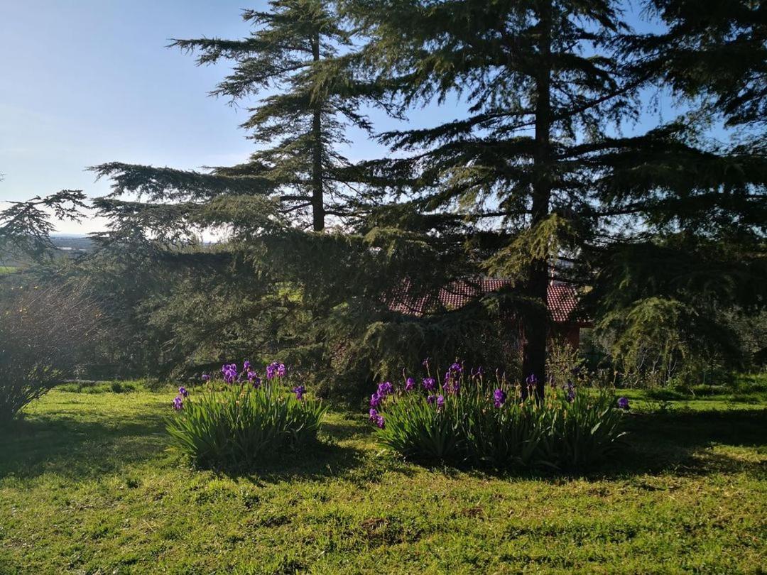 B&B Villa Lena Turi Exteriör bild