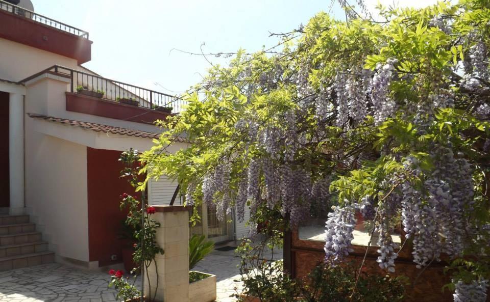 B&B Villa Lena Turi Exteriör bild